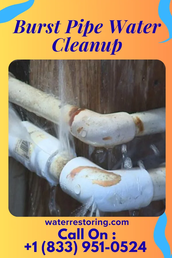 Burst Pipe Water Cleanup in Hayesville, OH