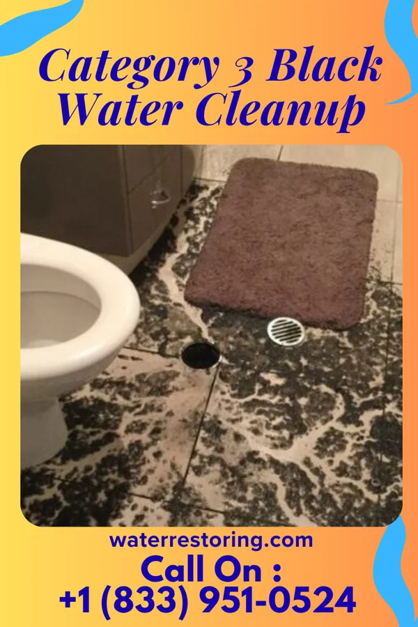 Category 3 Black Water Cleanup in Hayesville, OH