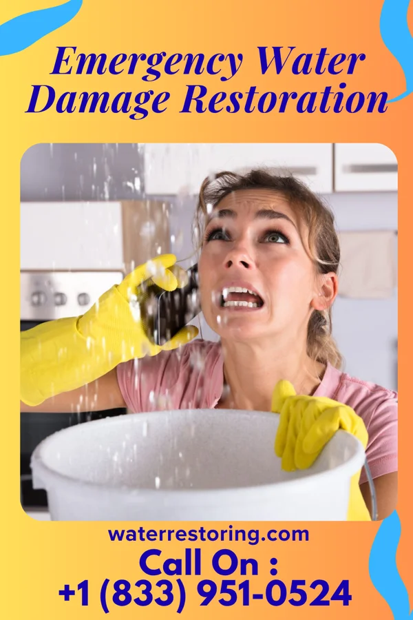Emergency Water Damage Restoration in Hayesville, OH