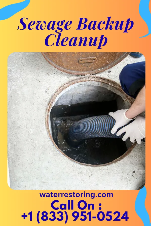 Sewage Backup Cleanup in Hayesville, OH