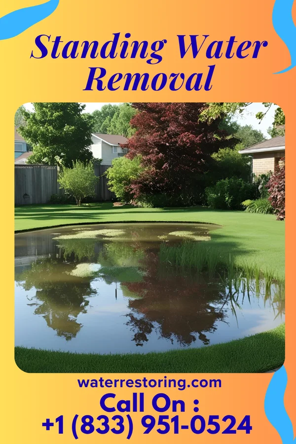 Standing Water Removal in Hayesville, OH
